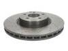 Brake Disc:231 421 10 12